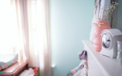 De beste kamerplanten voor baby’s en kinderen